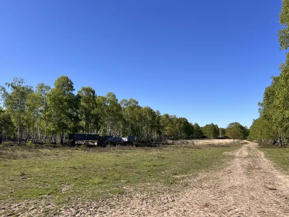 Blick über die Drover Heide